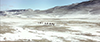 Sweeping Desert Landscape from Werner Herzog's Queen of the Desert