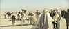 Robert Pattinson poses with 2 lion cubs in Queen of the Desert